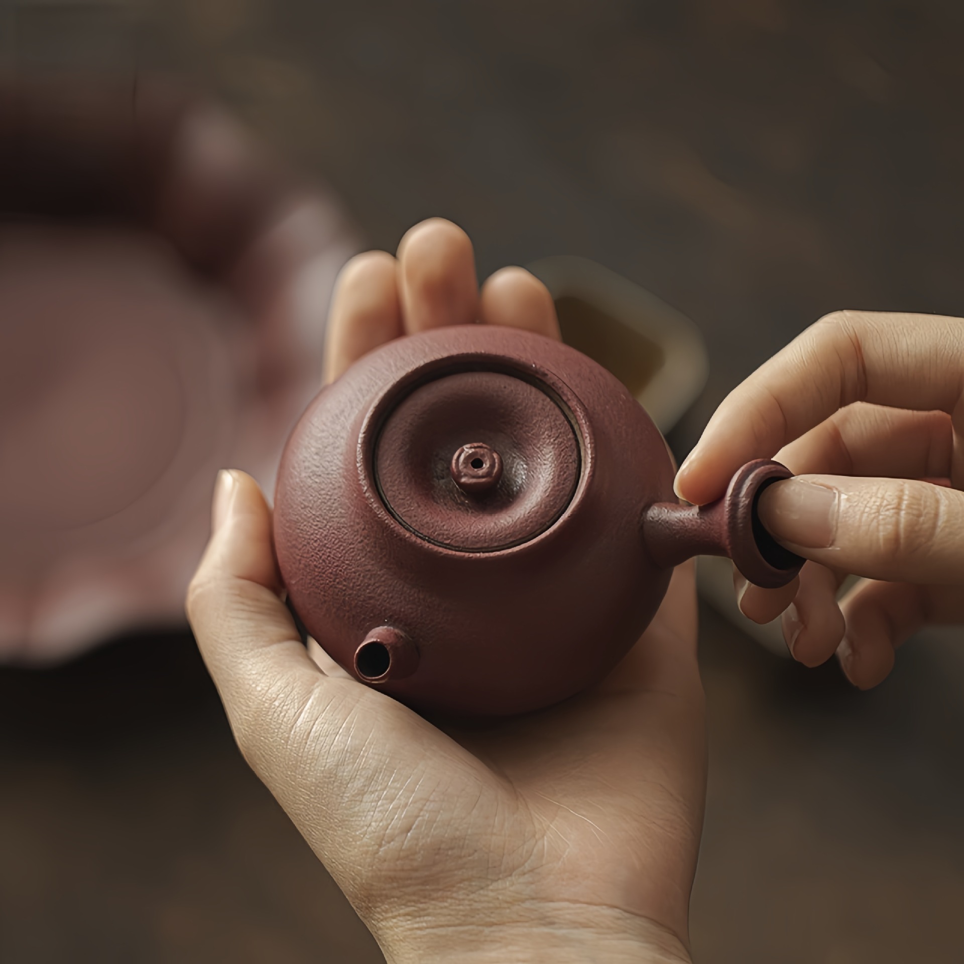 隐川堂 日式侧把壶粗陶紫砂土泡茶壶功夫茶具家用侘寂风过滤小壶